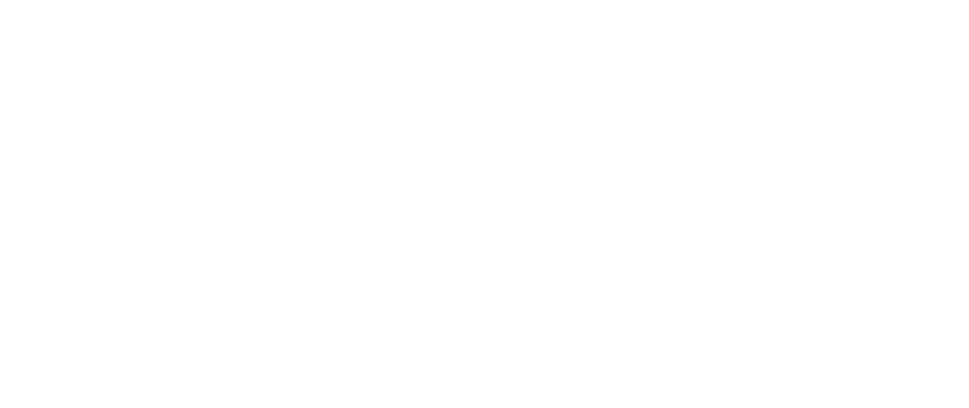 Bic-Logo